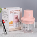 Electric Mini Garlic Chopper & Vegetable Cutter 250ml USB Rechargeable Cordless Food Processor